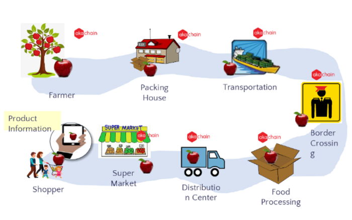 Chiến lược truy xuất nguồn gốc tại Việt Nam